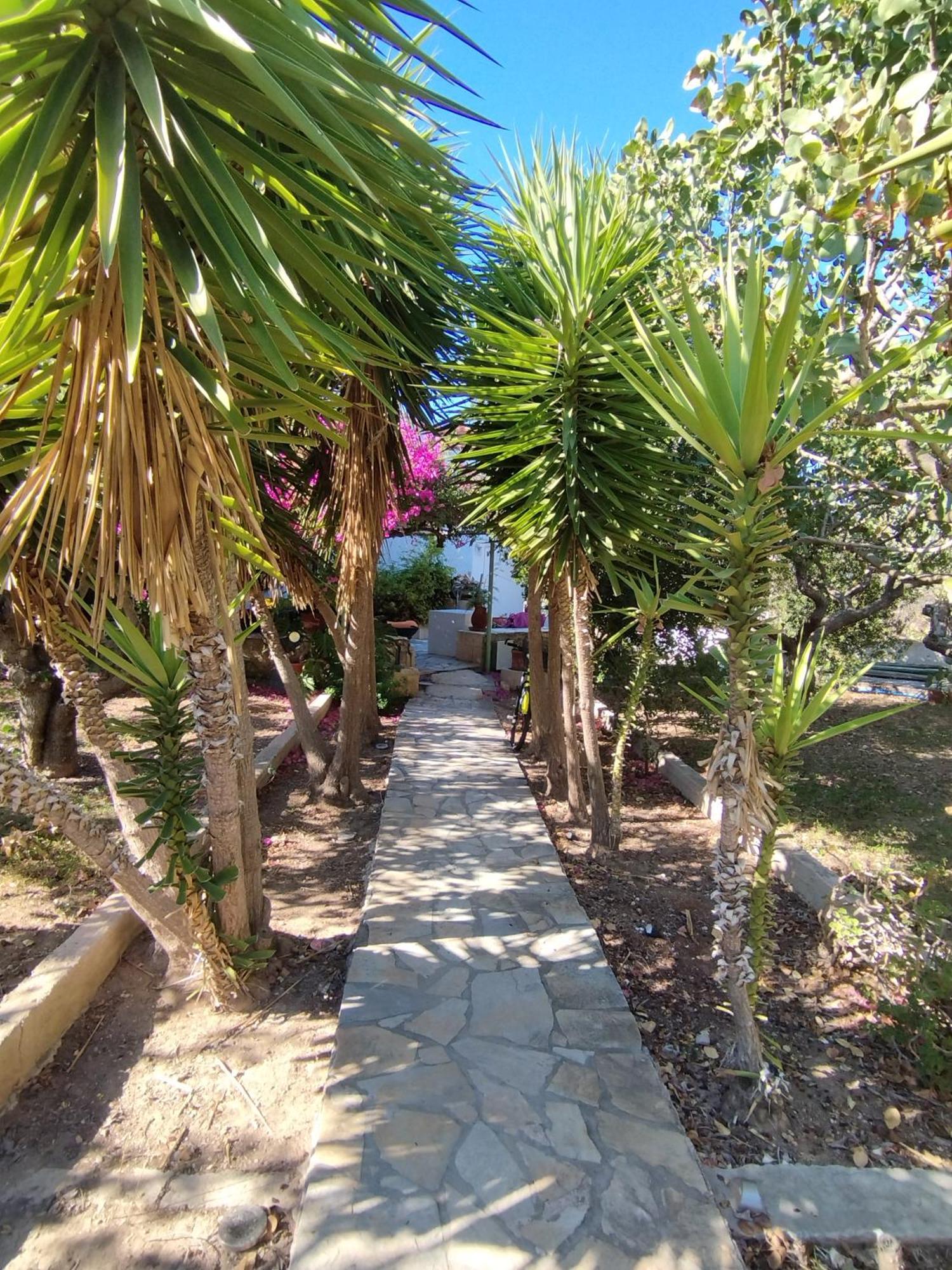 Solmar Aegina With Private Pool - Jacuzzi Apartman Khloi Kültér fotó