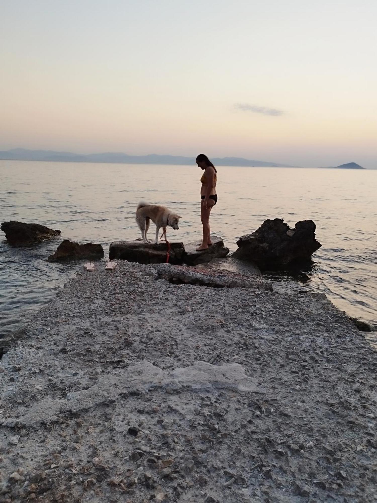 Solmar Aegina With Private Pool - Jacuzzi Apartman Khloi Kültér fotó